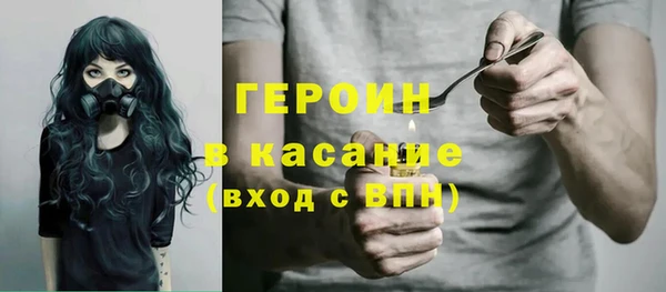гидра Горно-Алтайск