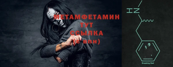 прущие грибы Вязьма