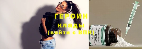гидра Горно-Алтайск
