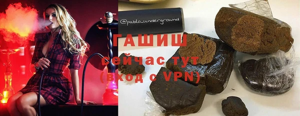 гидра Горно-Алтайск