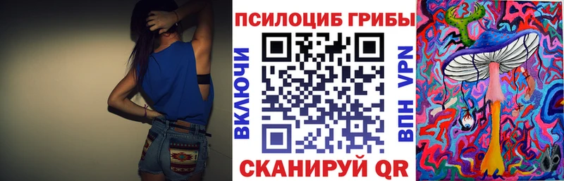 darknet как зайти  Зубцов  Галлюциногенные грибы Cubensis 